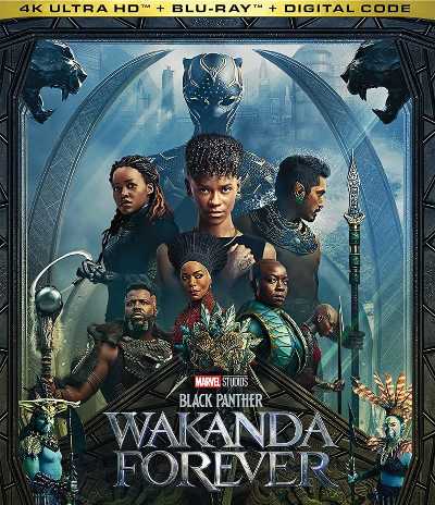 Download Black Panther: Wakanda Forever 2022 Dual Audio ORG [Hindi 5.1ch -Eng] BluRay Full Movie 1080p 720p 480p HEVC